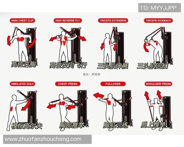 女性专属家用减肥健身器材推荐助你轻松塑形打造健康美丽生活