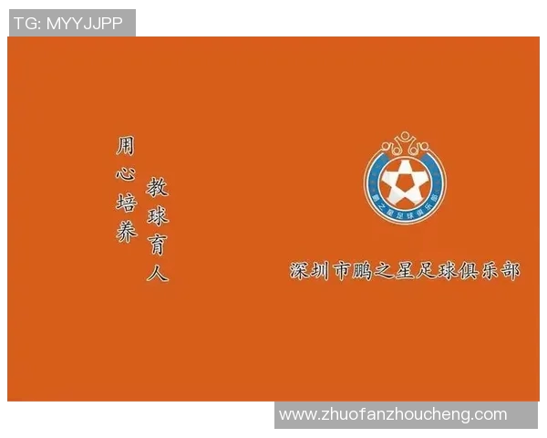 足球教练证书获取途径解析从D级到E级的详细指南与建议